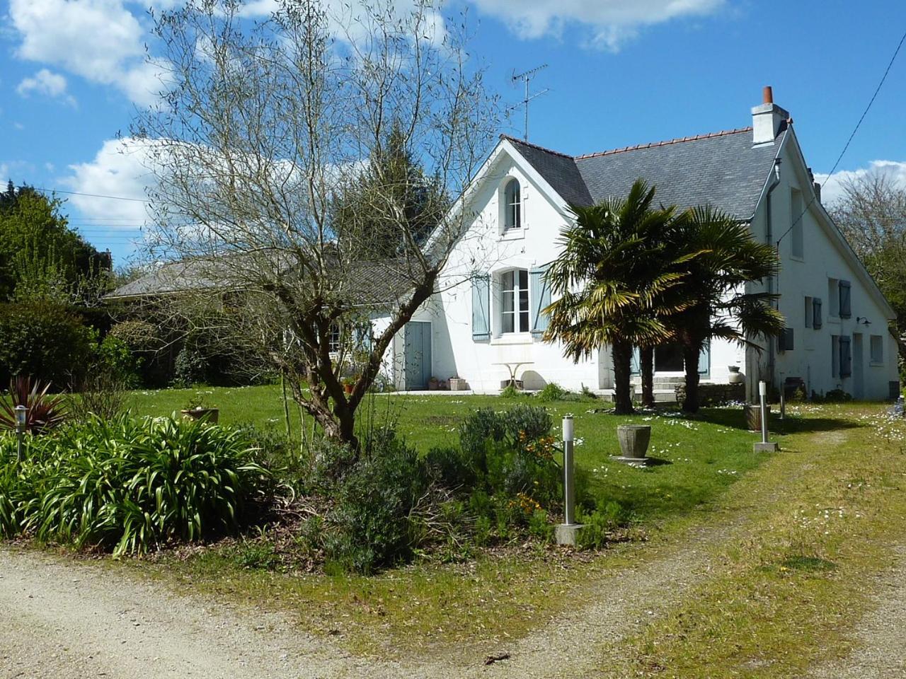 Paradis Clohars-Carnoët Exterior foto